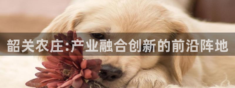 天辰娱乐的网址首页