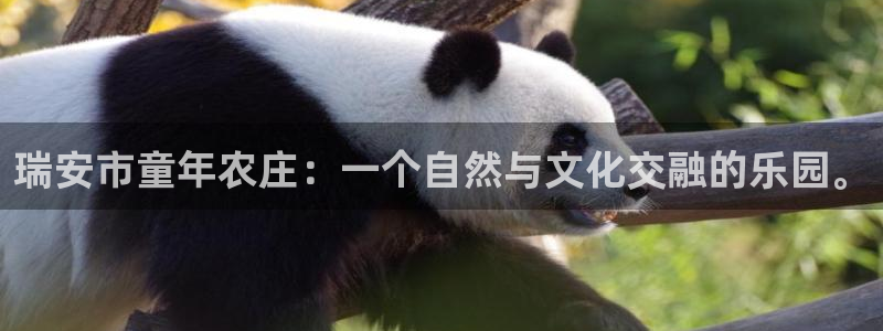 天辰娱乐675138