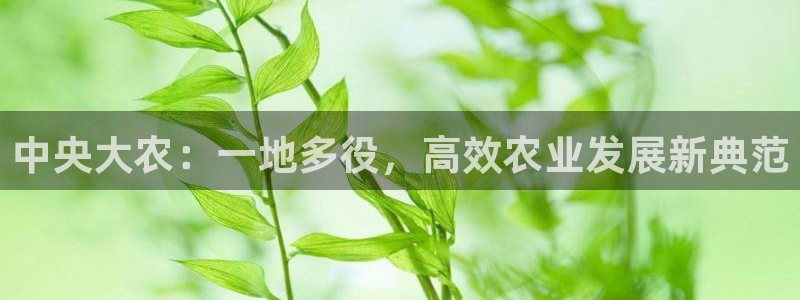 天辰娱乐官网平台下载