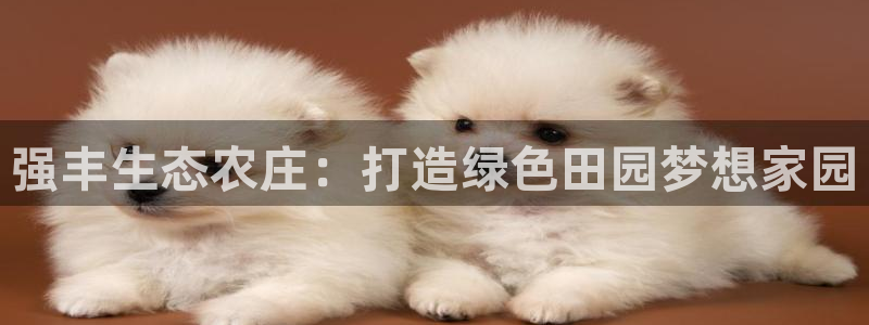 天辰娱乐代理