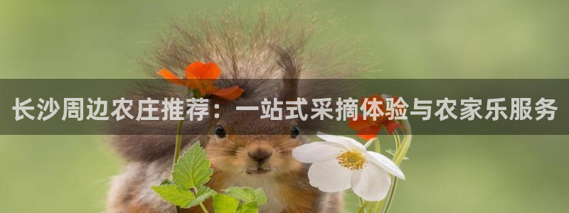 天辰娱乐台湾