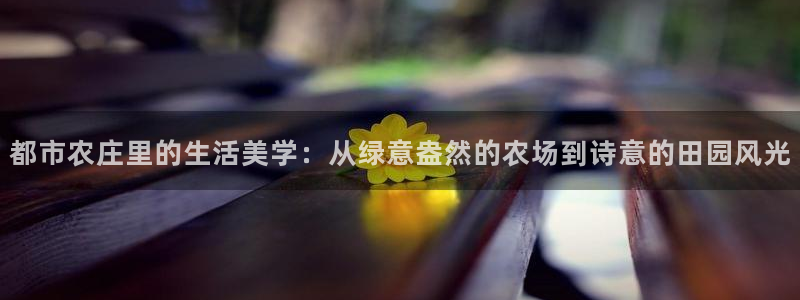 天辰娱乐 18113
