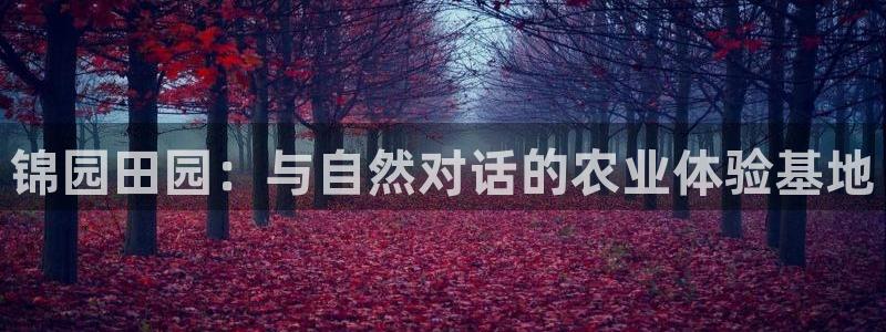 天辰娱乐 44516