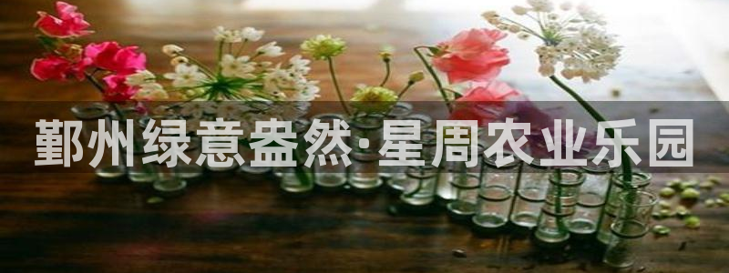 天辰宝娱乐