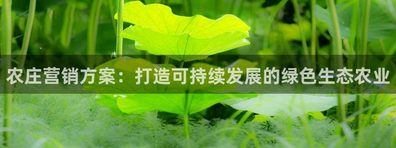 天辰娱乐简介