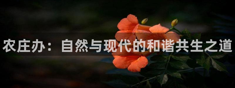 天辰娱乐股票