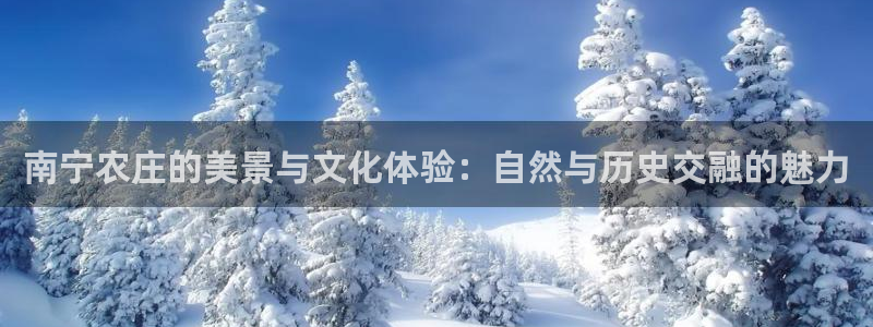 天辰娱乐在线