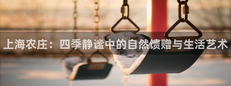 天辰娱乐上级