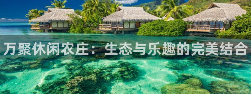天辰娱乐线路