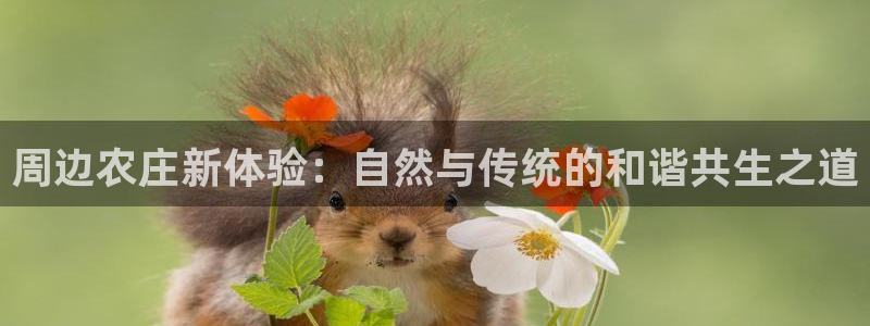 天辰娱乐招商