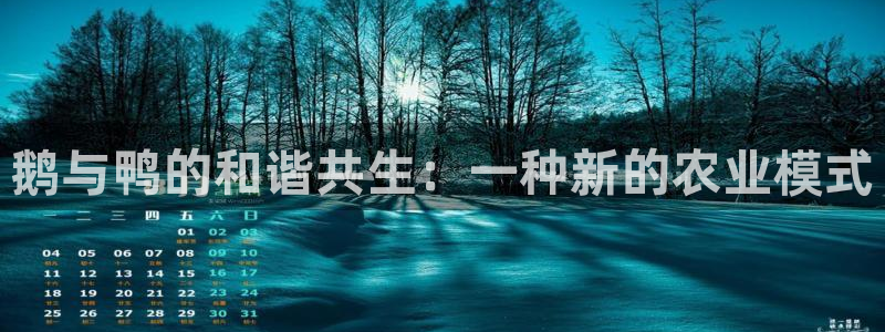 天辰辰娱乐代理