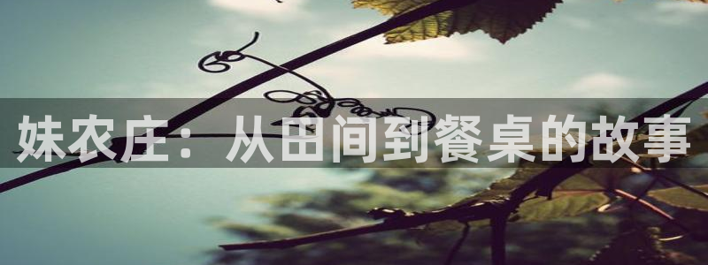 天辰娱乐84566