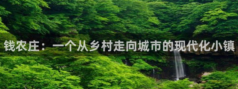 天辰娱乐 231639