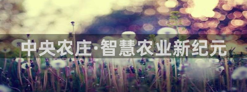 天辰娱乐股票