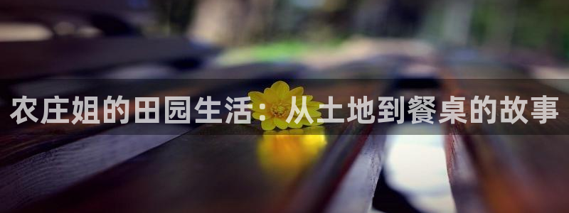 天辰娱乐557448