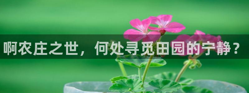 天辰娱乐官网平台下载