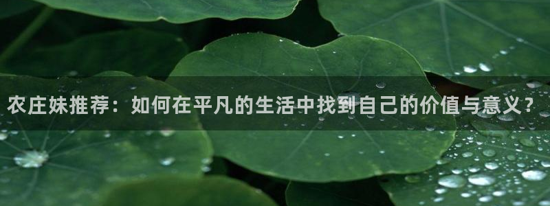 天辰娱乐反水