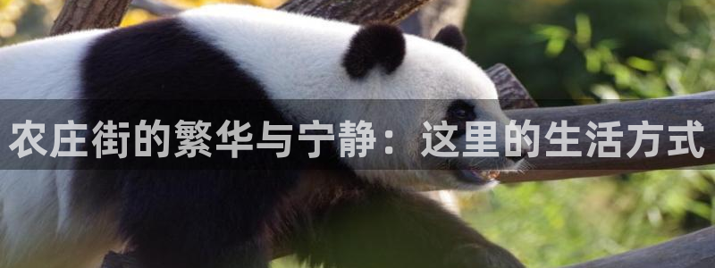 天辰娱乐指定