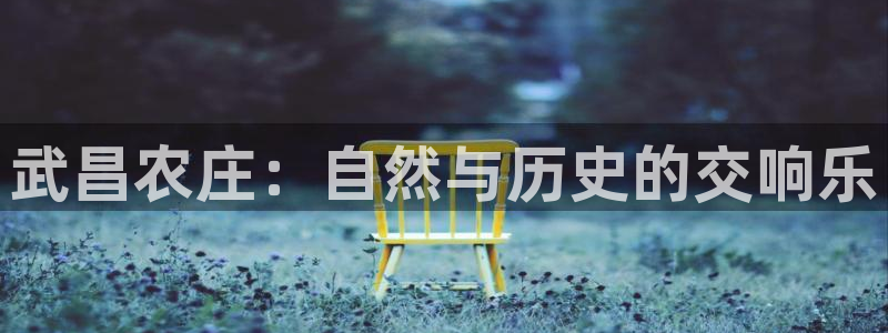 天辰娱乐彩票