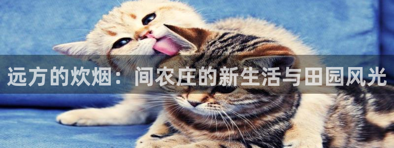 天辰娱乐1996