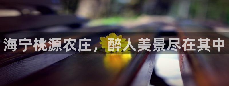 天辰说娱乐