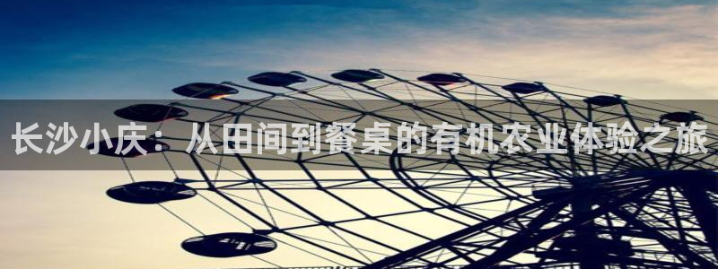 天辰娱乐分红