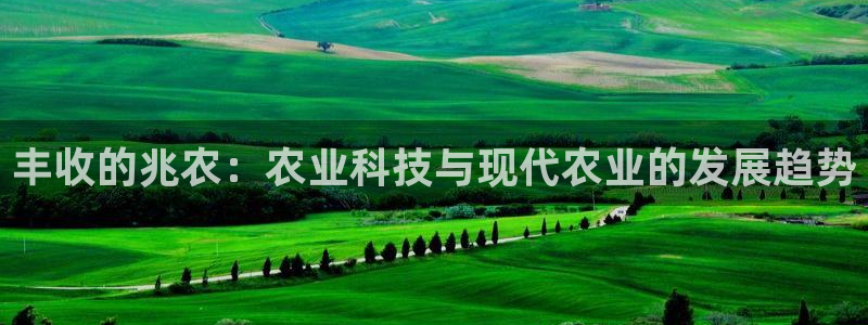 天辰娱乐_ 18113