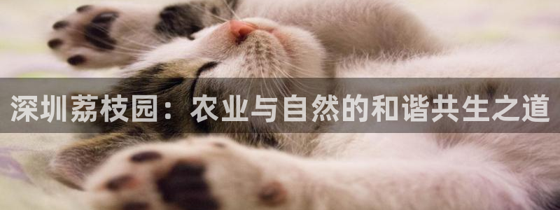 天辰 娱乐