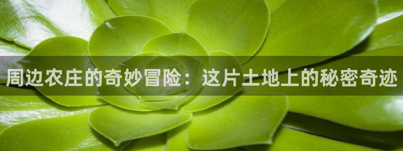 天辰娱乐登陆平台