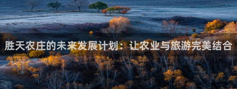 天辰娱乐在哪