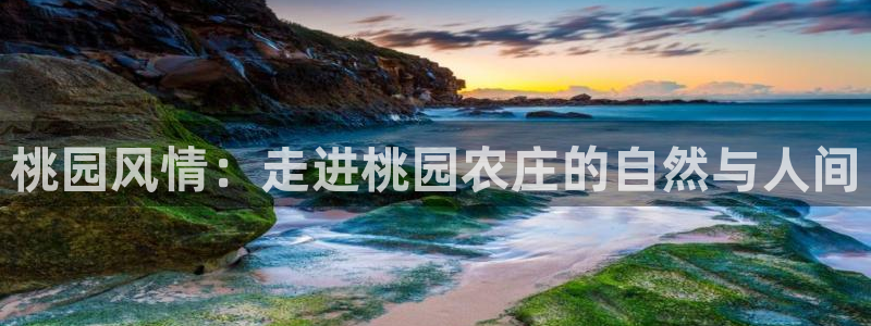 天辰娱乐咋样
