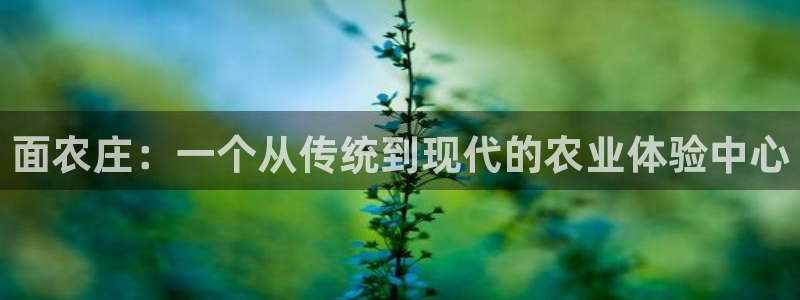 天辰娱乐ttf