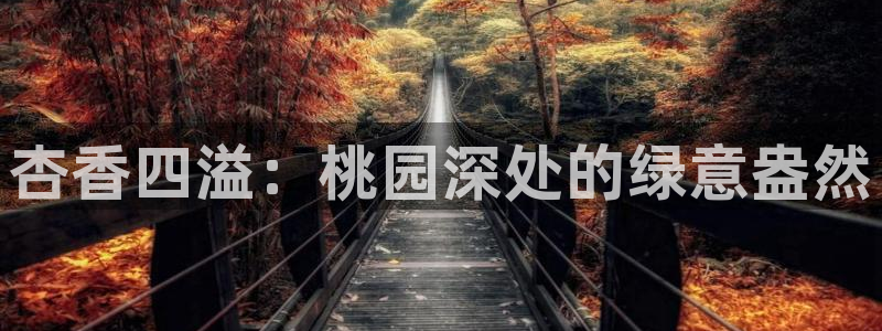天富天辰娱乐