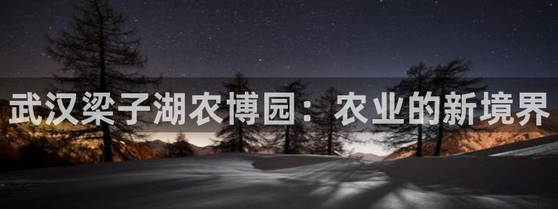 天富天辰娱乐