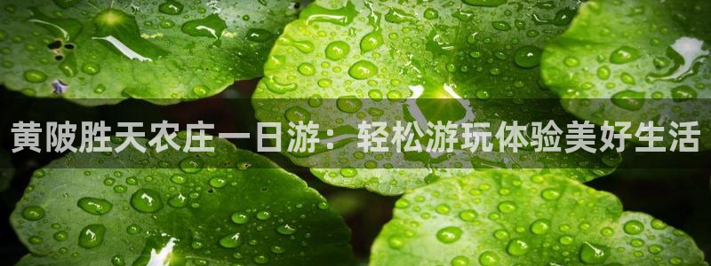 天辰娱乐怎么样