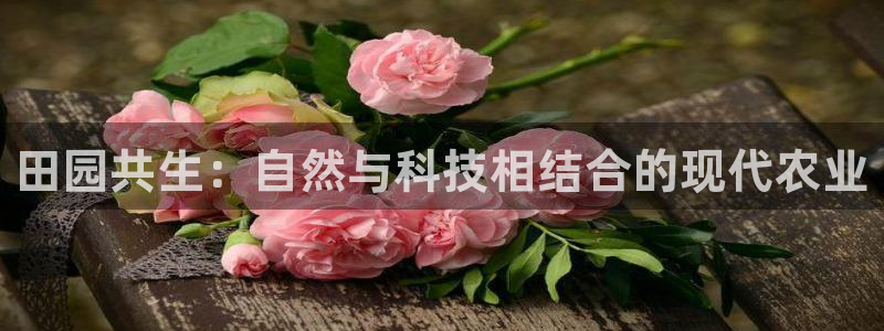 天辰娱乐appxi