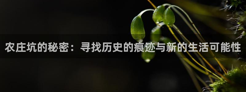 天辰娱乐best