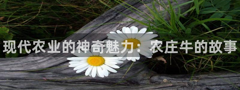 天辰娱乐鱼刺