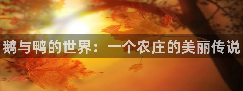 天辰娱乐线路