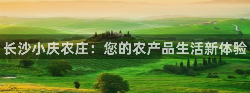 天辰娱乐官网