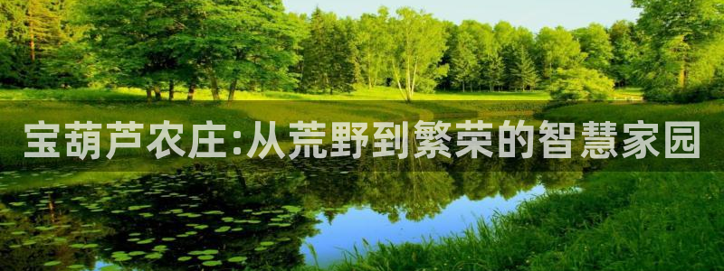 天辰娱乐十分彩