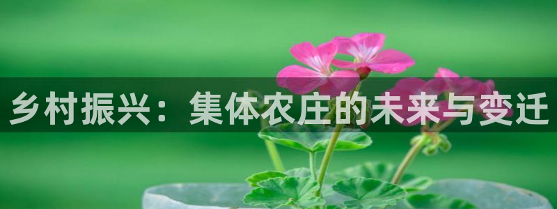 天辰娱乐新
