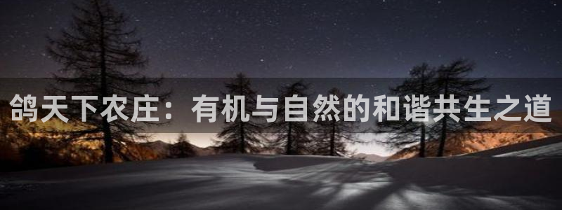 天辰娱乐彩票