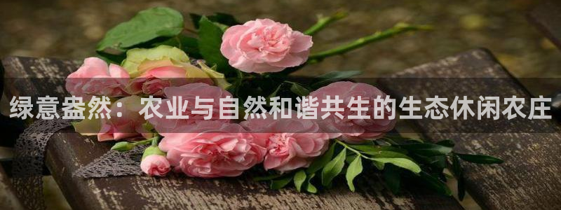 天辰娱乐视频