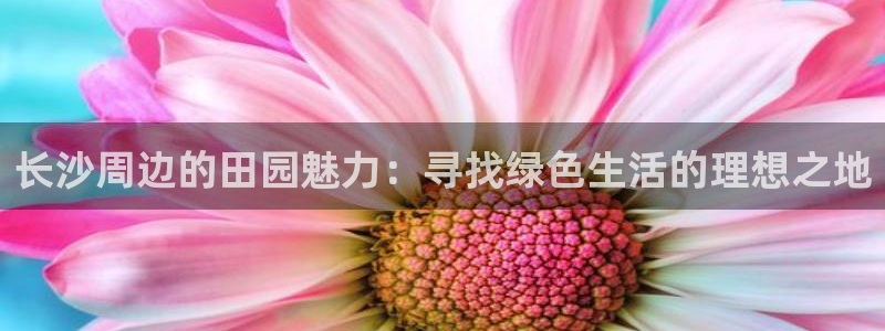 天辰娱乐-q