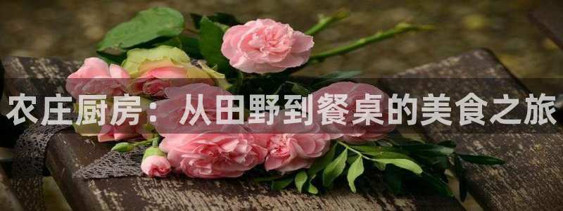 天辰娱乐天辰宝