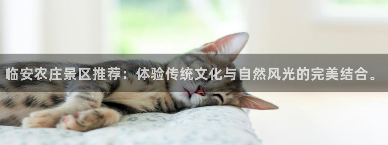 天辰娱乐tff