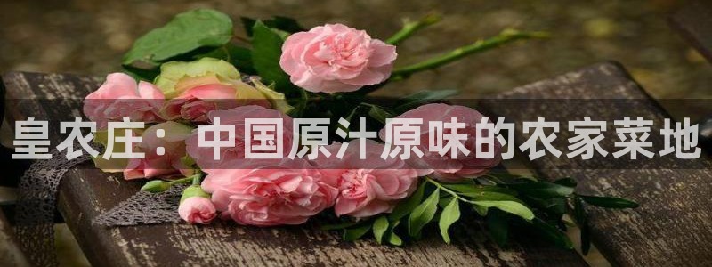 天辰娱乐指尖所