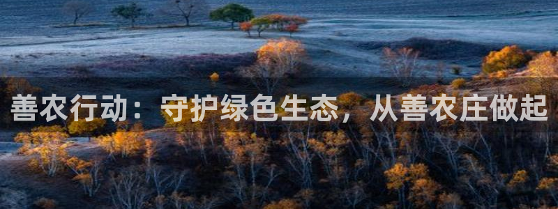 天辰娱乐53551