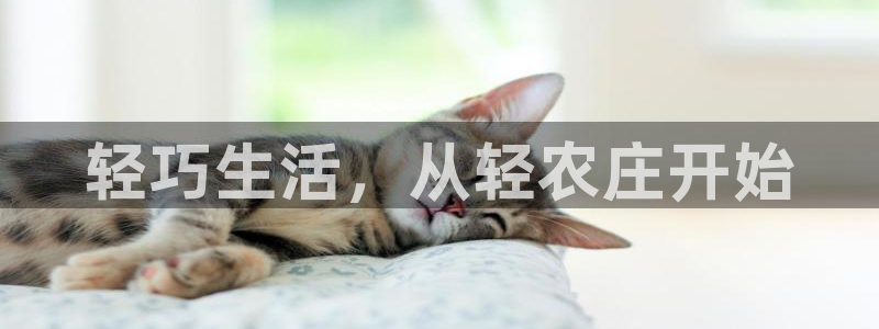 天辰娱乐ttf
